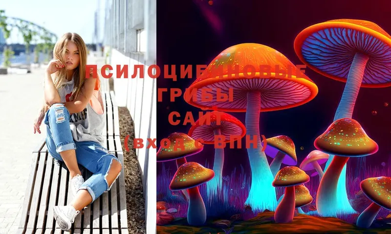 Галлюциногенные грибы MAGIC MUSHROOMS  kraken зеркало  Алзамай 